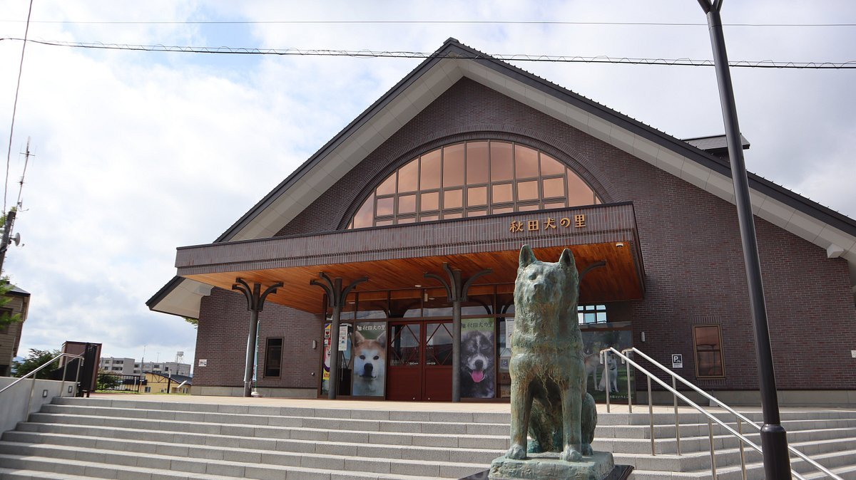 🐕 아키타견 마을(아키타이누노사토) 이미지 7